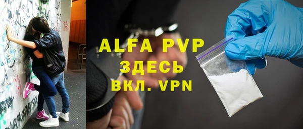 прущие грибы Дмитров