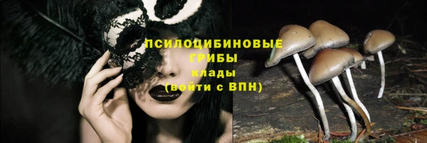 MDMA Дмитровск