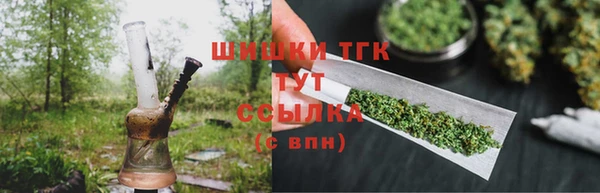 прущие грибы Дмитров