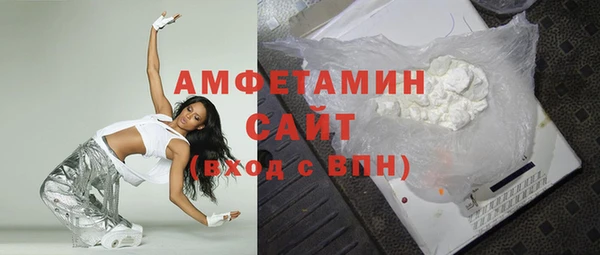 прущие грибы Дмитров