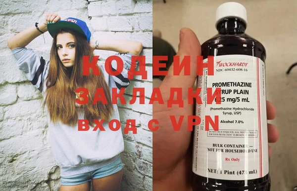 прущие грибы Дмитров