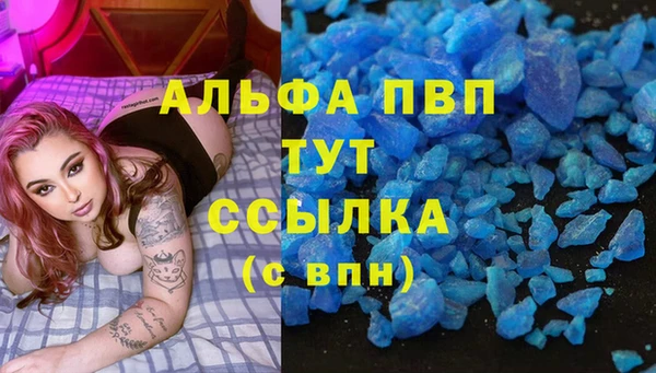ECSTASY Дмитриев