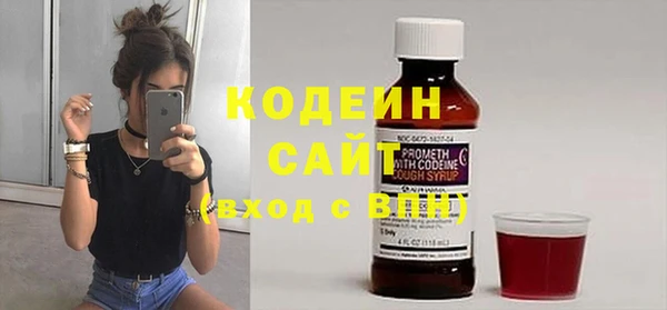 прущие грибы Дмитров