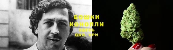 прущие грибы Дмитров