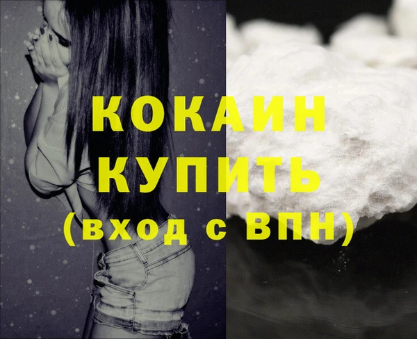 индика Гусиноозёрск