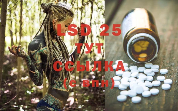 ECSTASY Дмитриев