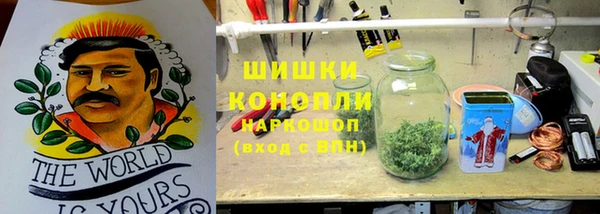 прущие грибы Дмитров