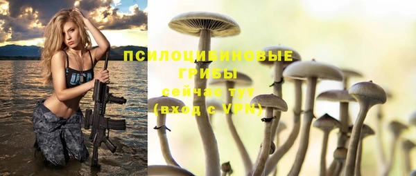 ECSTASY Дмитриев